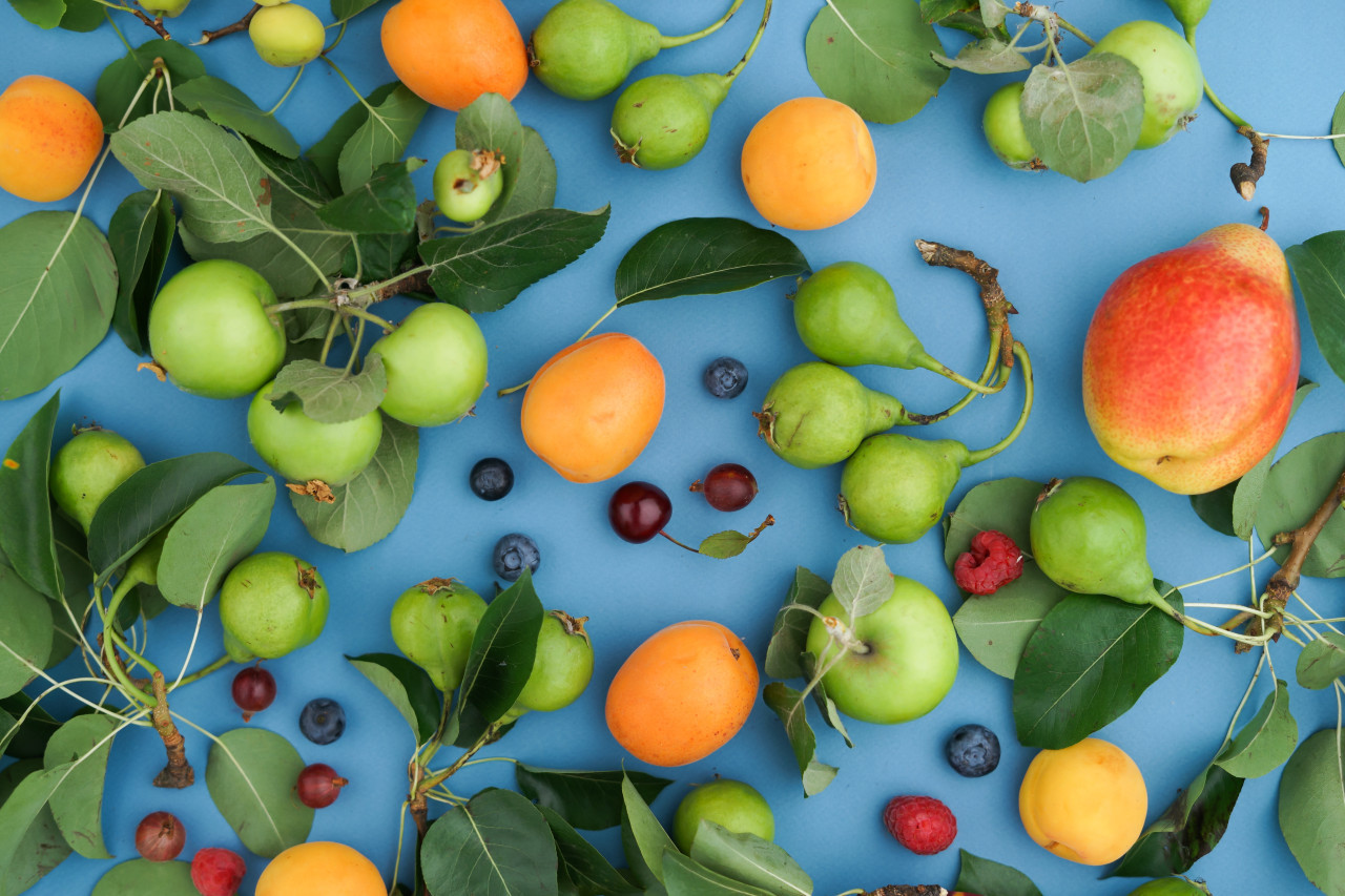 Frutas con vitamina C. Foto: Unsplash