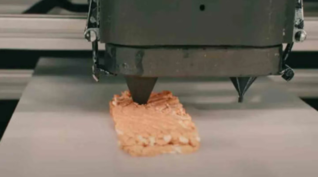 El filete de salmón a base de hongos de la impresora 3D.  Foto: Revo Foods.