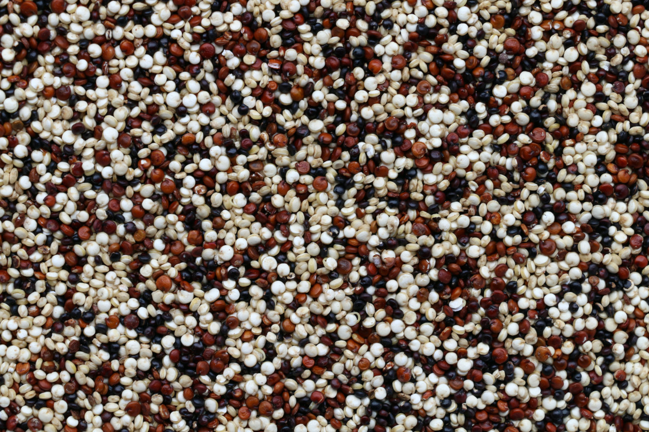 La quinoa es un pseudocereal. Unsplash.