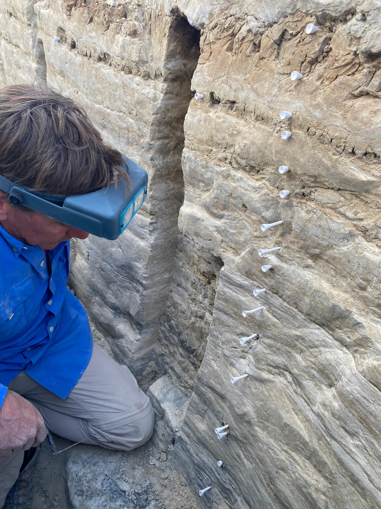 Las huellas fosiles fueron halladas en un Parque Nacional de Estados Unidos. Foto: Servicio Geológico de Estados Unidos.