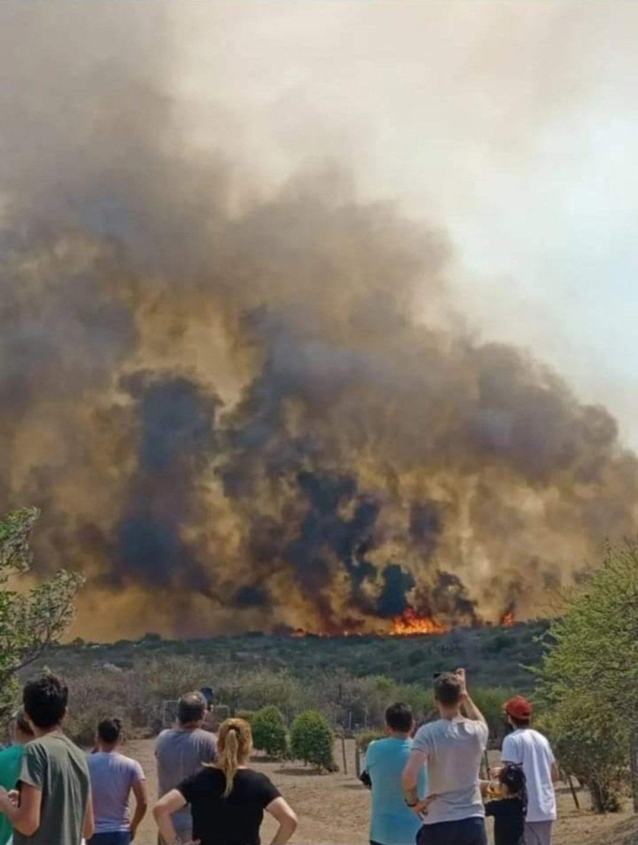 Las llamas en Córdoba. Foto: NA