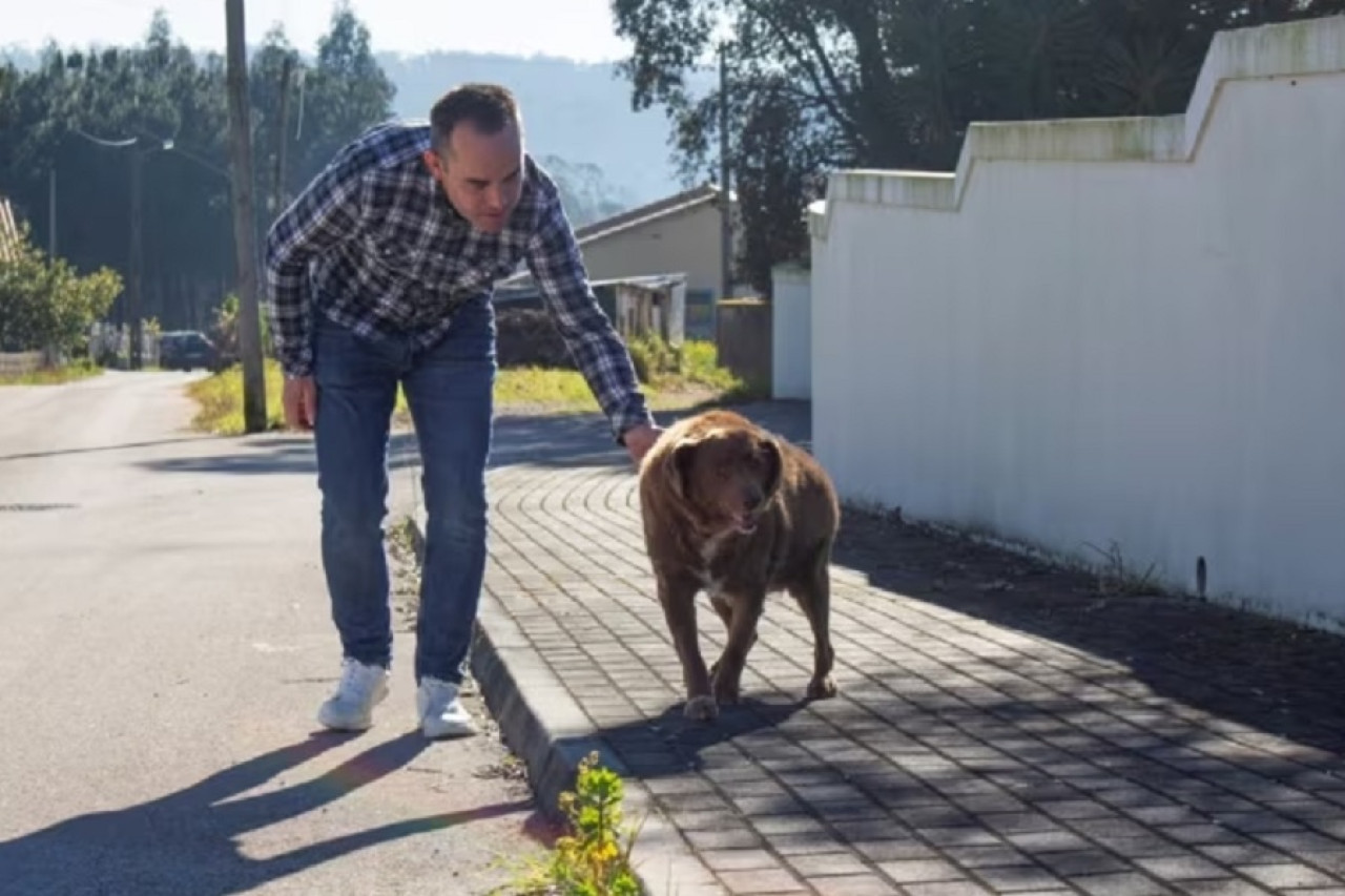 Bobi, que rompió el récord del perro más adulto de la historia. Reuters