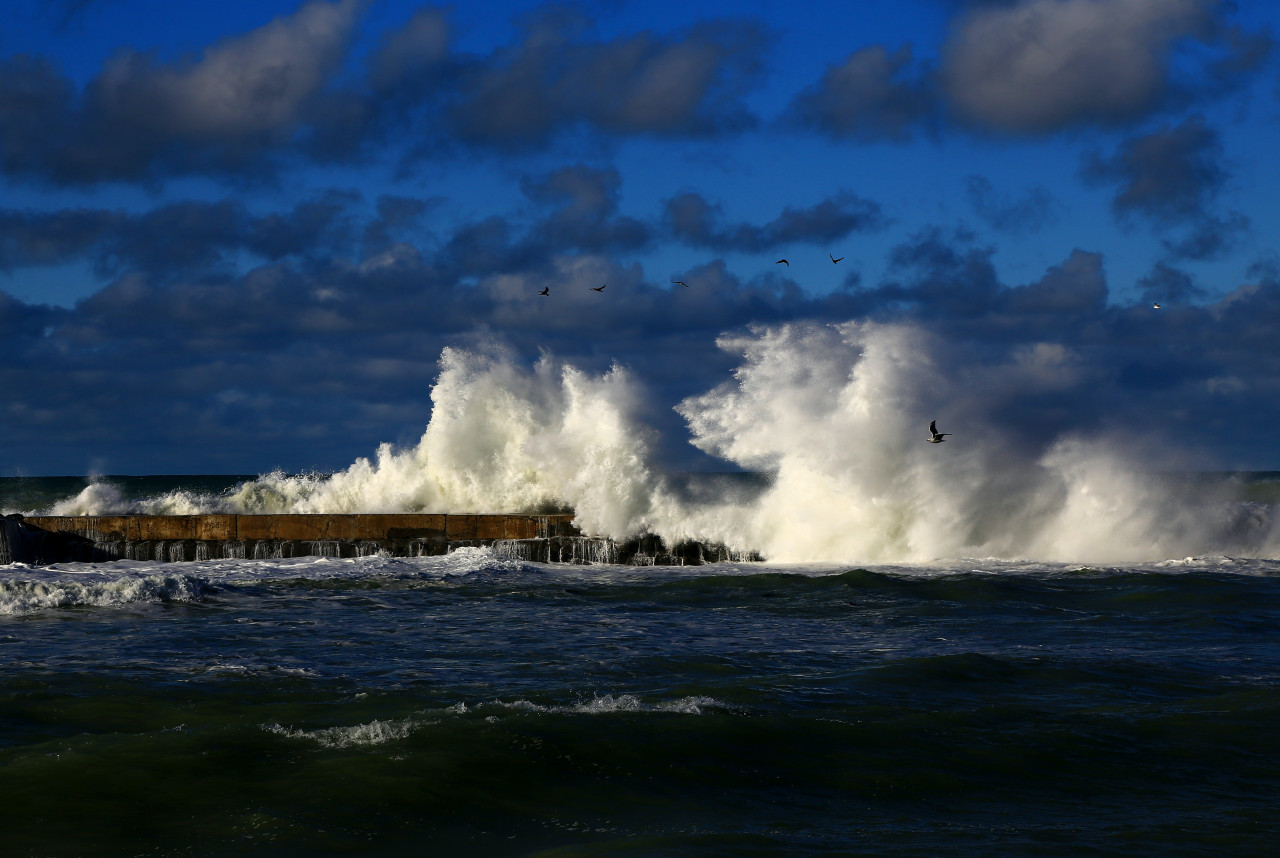 Tsunami. Foto: Unsplash