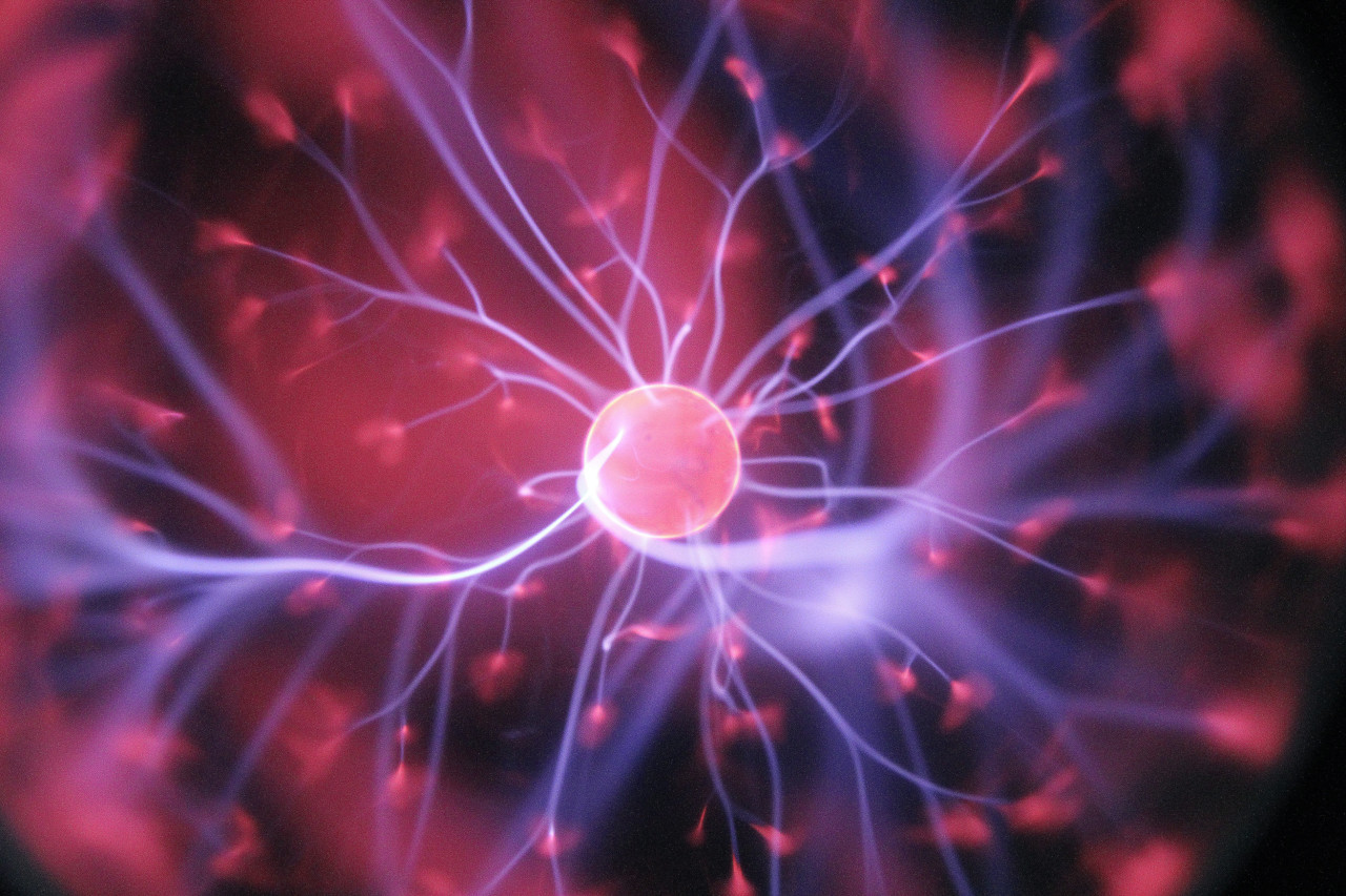 Neurona, sistema nervioso, cerebro. Foto: Unsplash