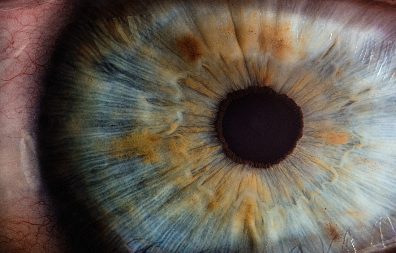 Un hombre recibió el primer trasplante de ojo completo en el mundo. Foto: Unsplash