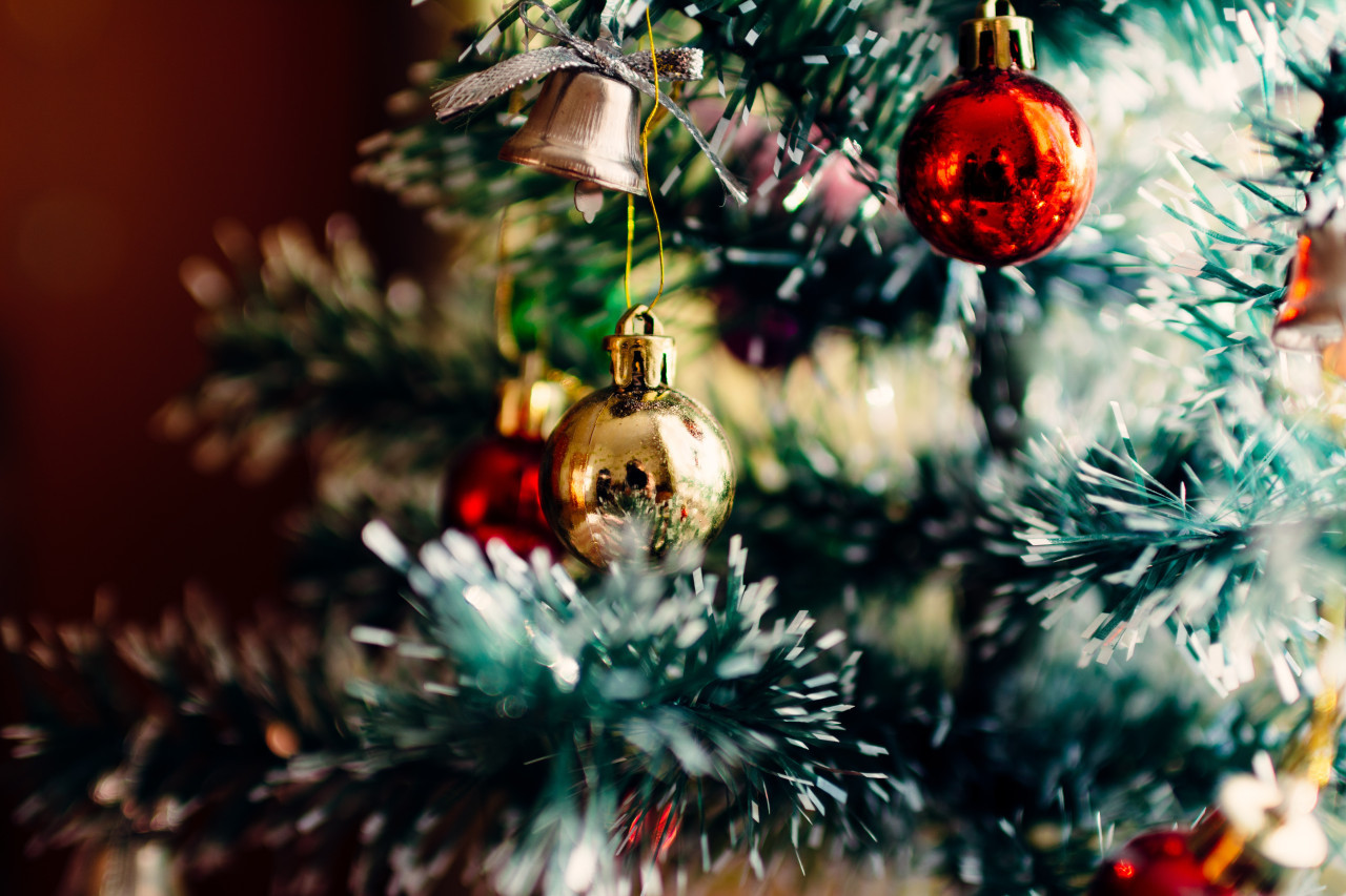 Festejar la Navidad 2023 será casi tres veces más caro que el año pasado. Foto: Unsplash