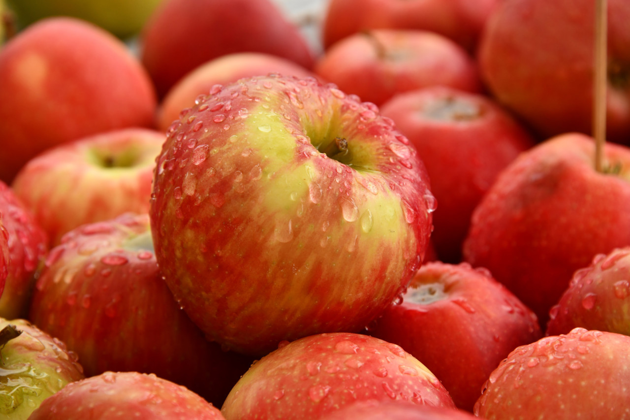 Cómo evitar comprar una manzana arenosa. Foto: Unsplash