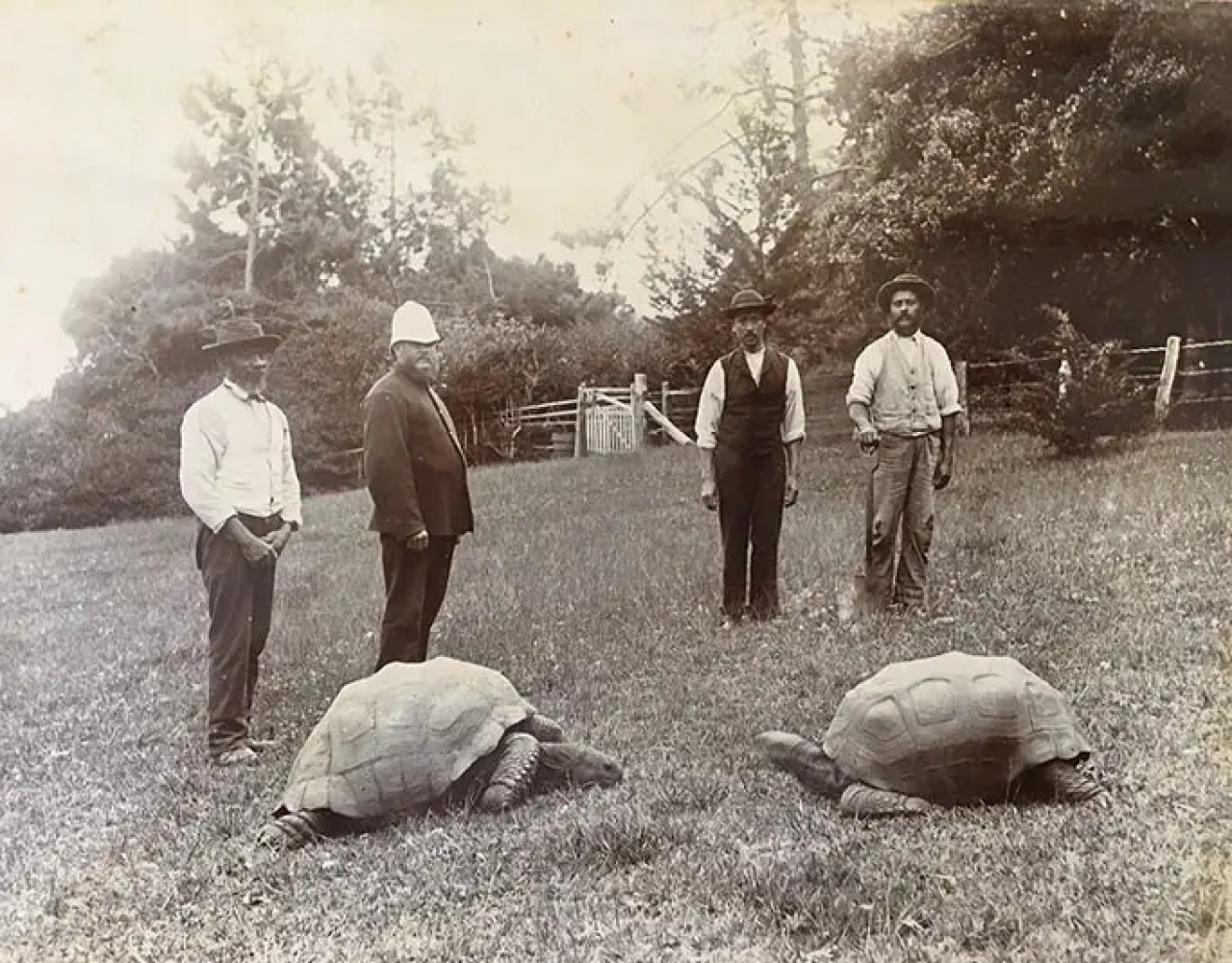 Jonathan, a la izquierda, durante los años 1882-1886. Foto: Guinness World Records.
