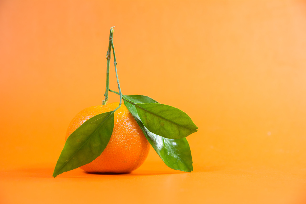 El superalimento que tiene diez veces más vitamina C que la naranja. Foto: Unsplash