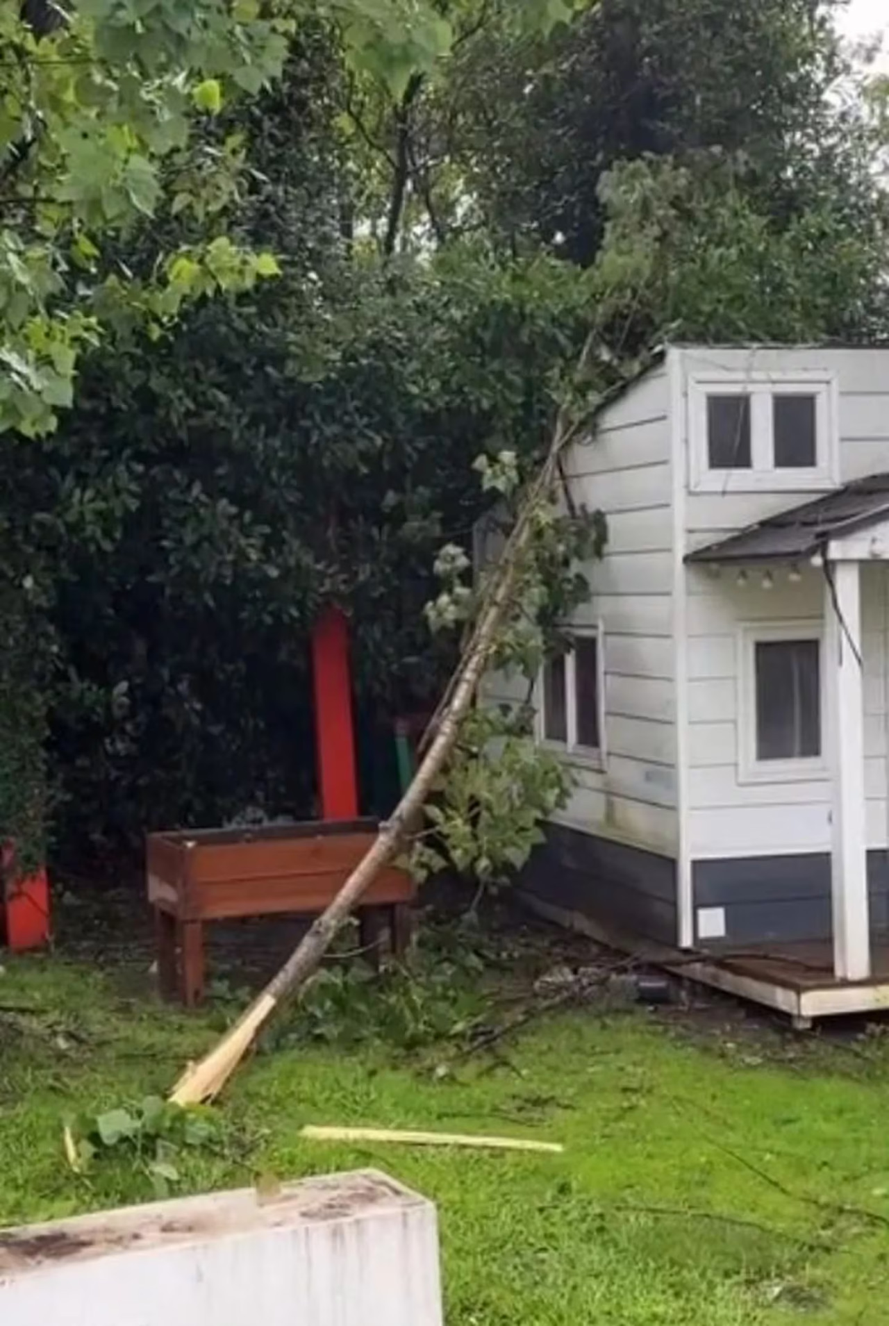 Una rama cayó sobre la casita de Mirko. Foto: Instagram @marley_ok