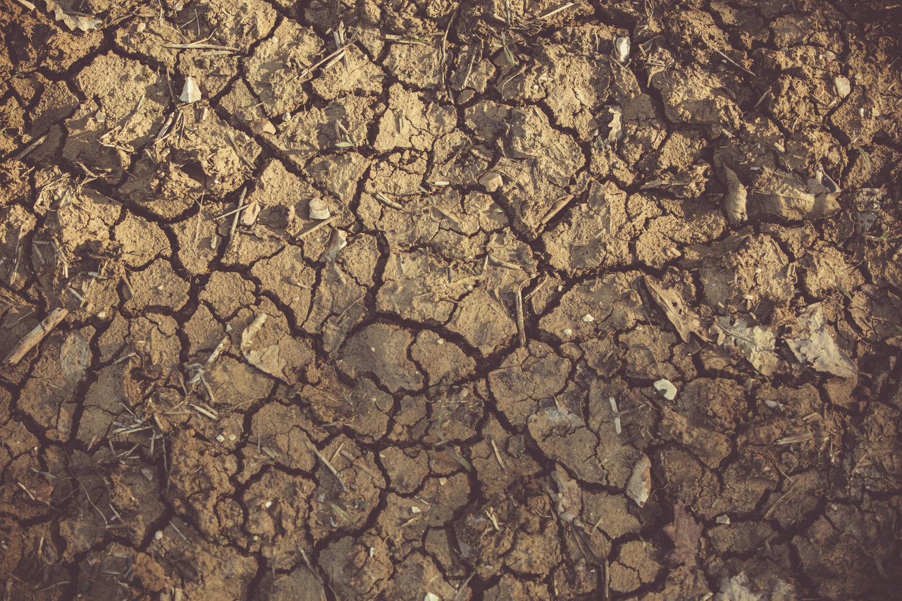Sequía. Foto: Pexels