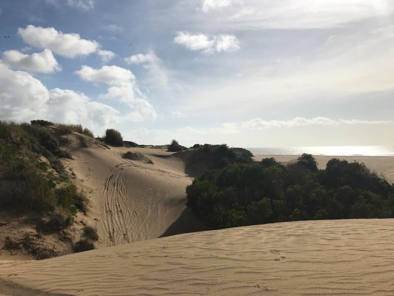 Punta Médanos cuenta con una extensa zona de dunas formadas naturalmente. Foto: Instagram.