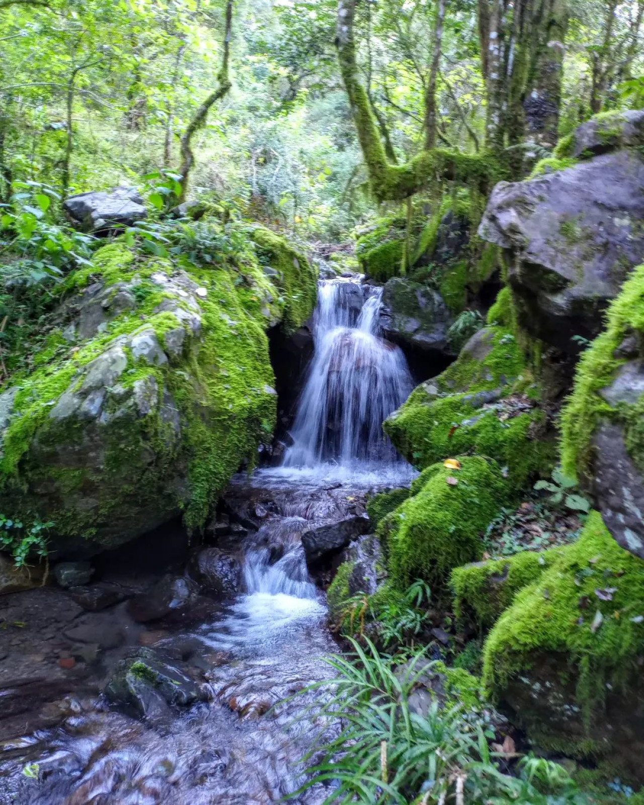 Quebrada de San Lorenzo. Foto Instagram.