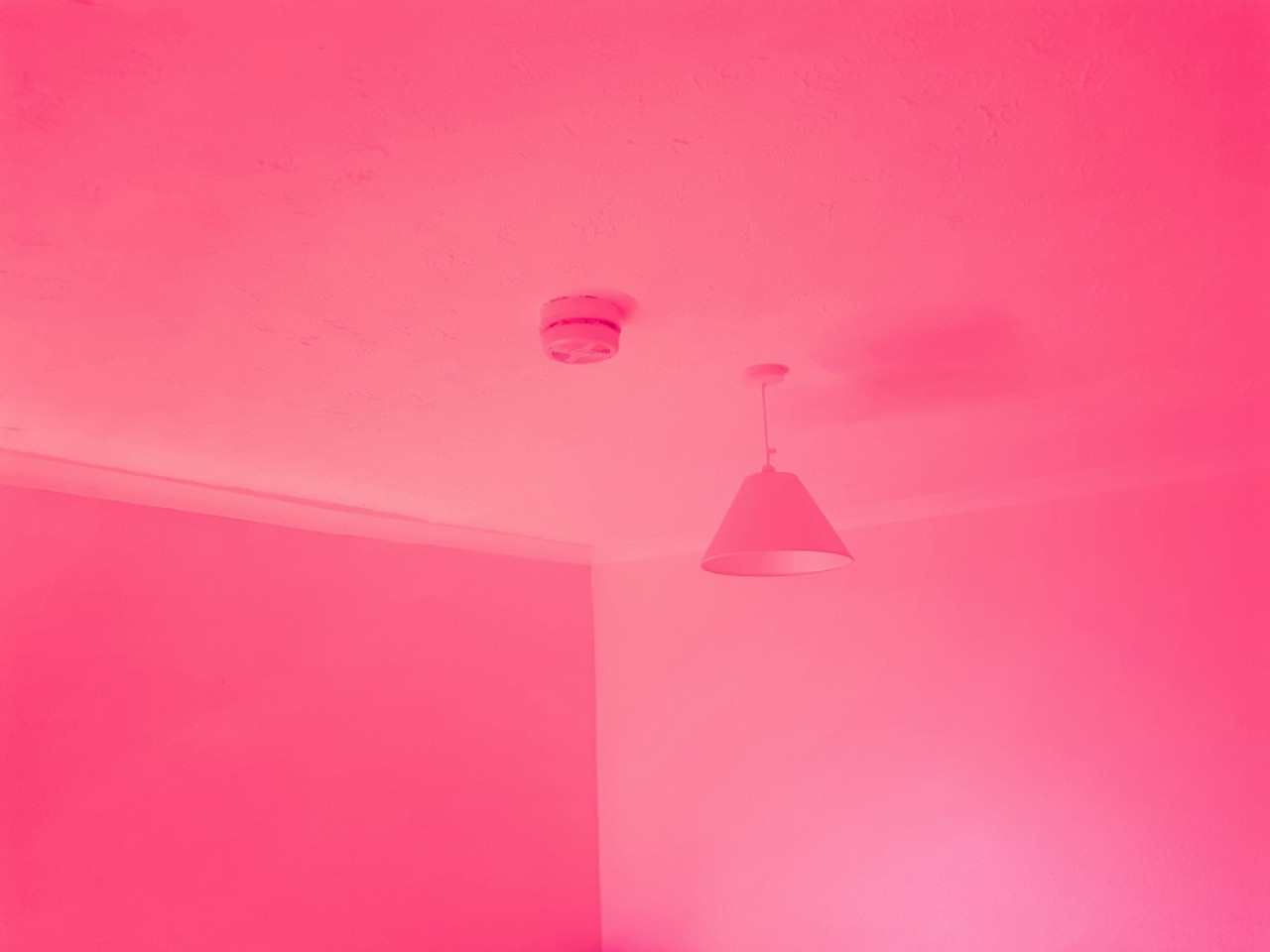 Color rosa. Foto: Unsplash.