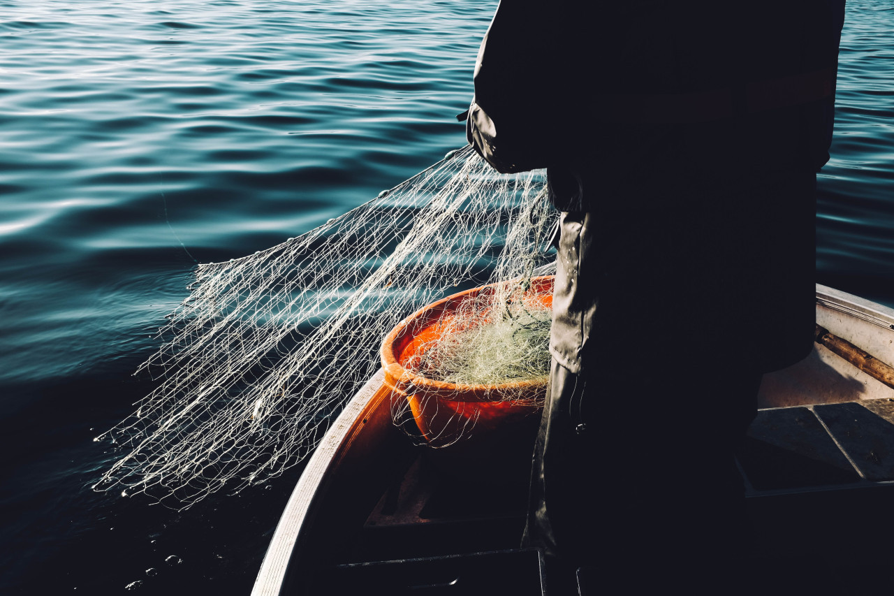 Pesca, pescador. Foto: Unsplash.