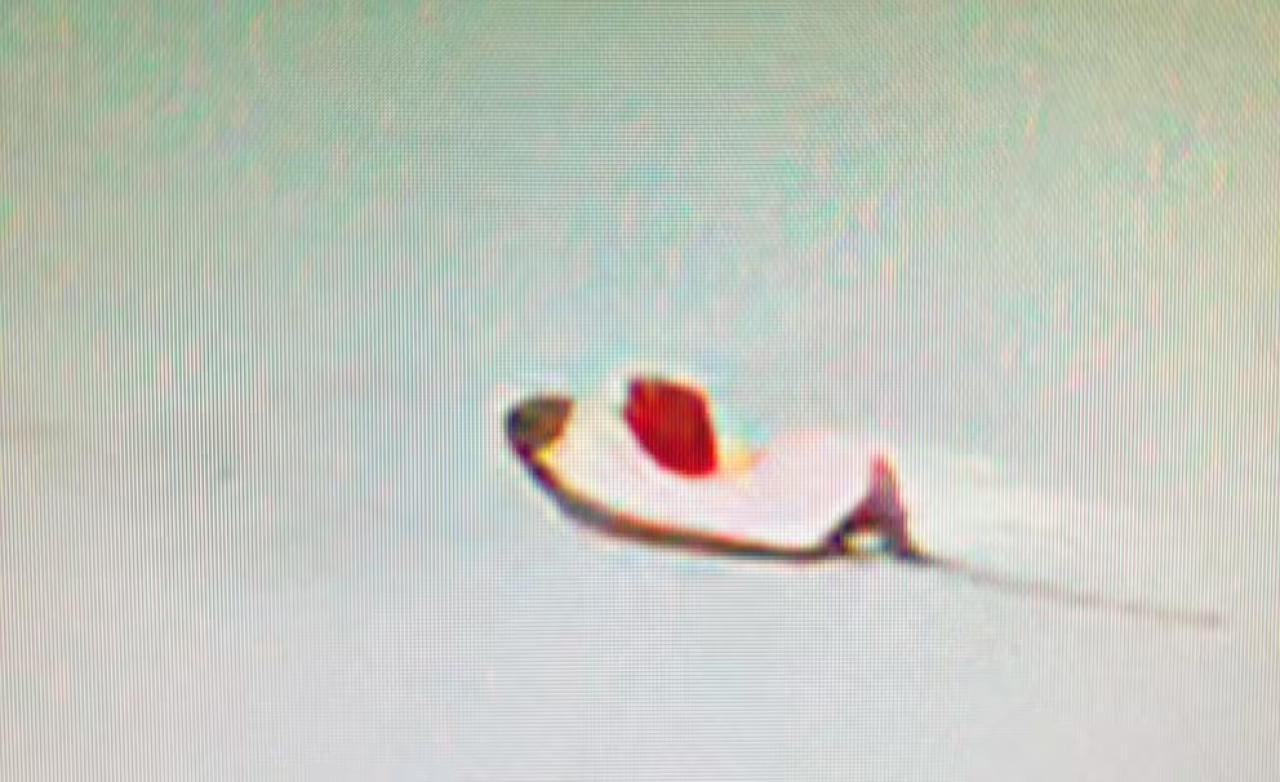 La foto que tomó el piloto desde su avión. Foto: Infobae.