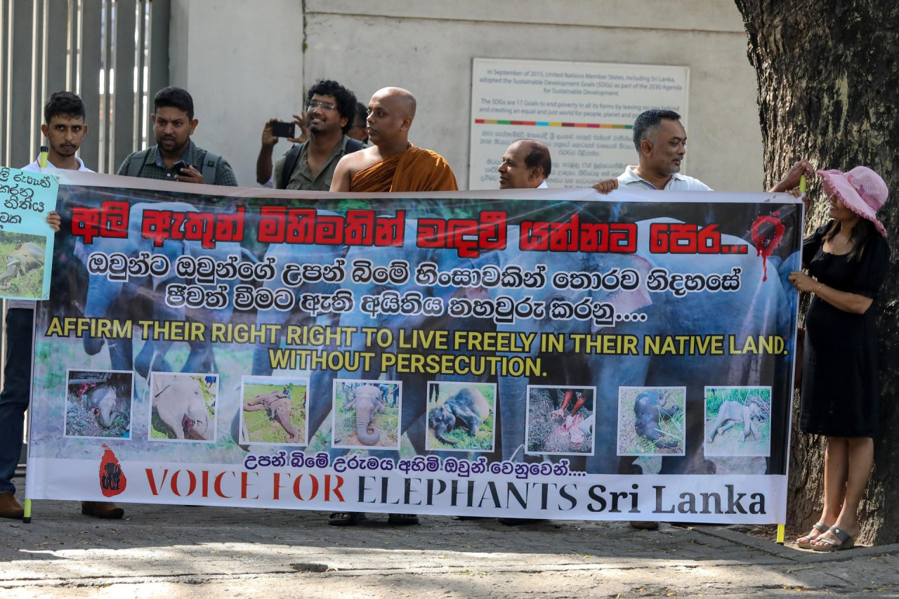 Protesta en Sri Lanka para proteger a los elefantes. Foto: EFE.