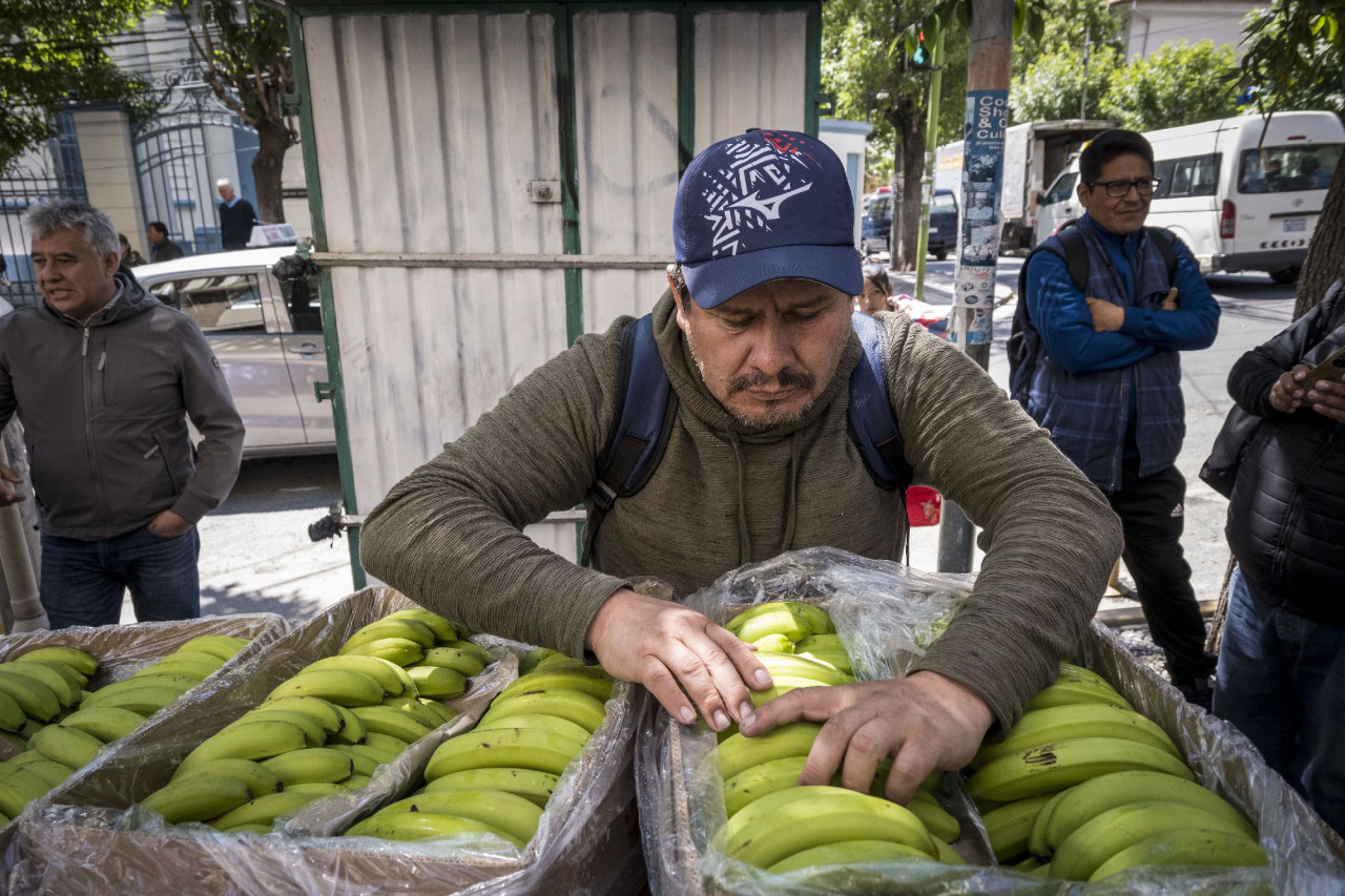Importación de bananas a Ecuador. Foto: EFE