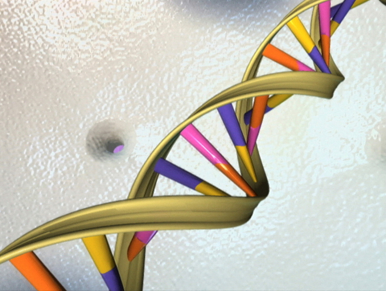 Una doble hélice de ADN. Foto: Reuters
