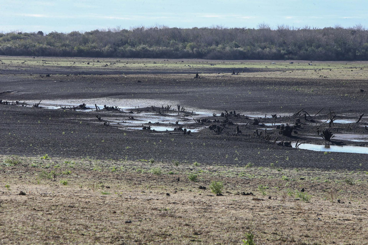 El trabajo de Uruguay contra una posible crisis hídrica. Foto: EFE