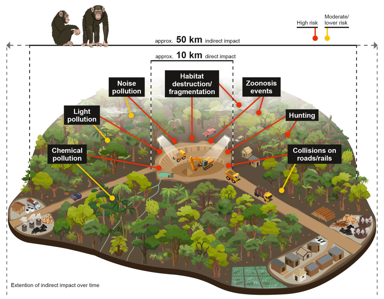 Gráfico de los impactos directos e indirectos de la minería en los grandes simios de África. Foto EFE.