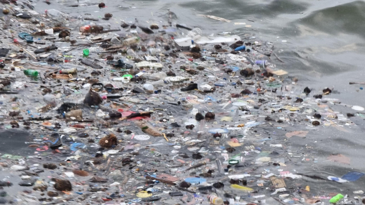 Contaminación en océanos. Foto: EFE.