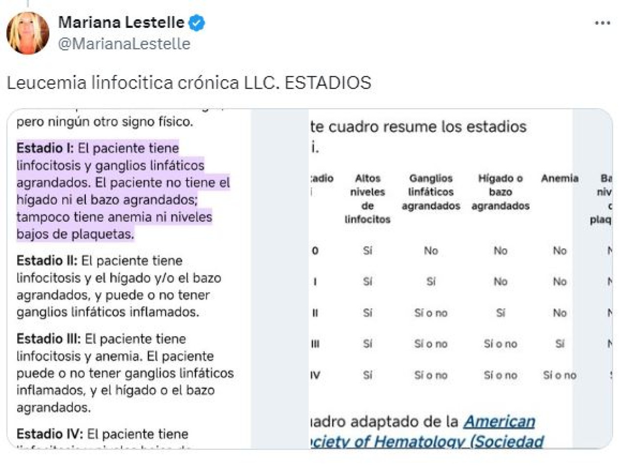 Mariana Lestelle informó en Twitter por qué Furia no necesita tratamiento: Foto: @marianalestelle